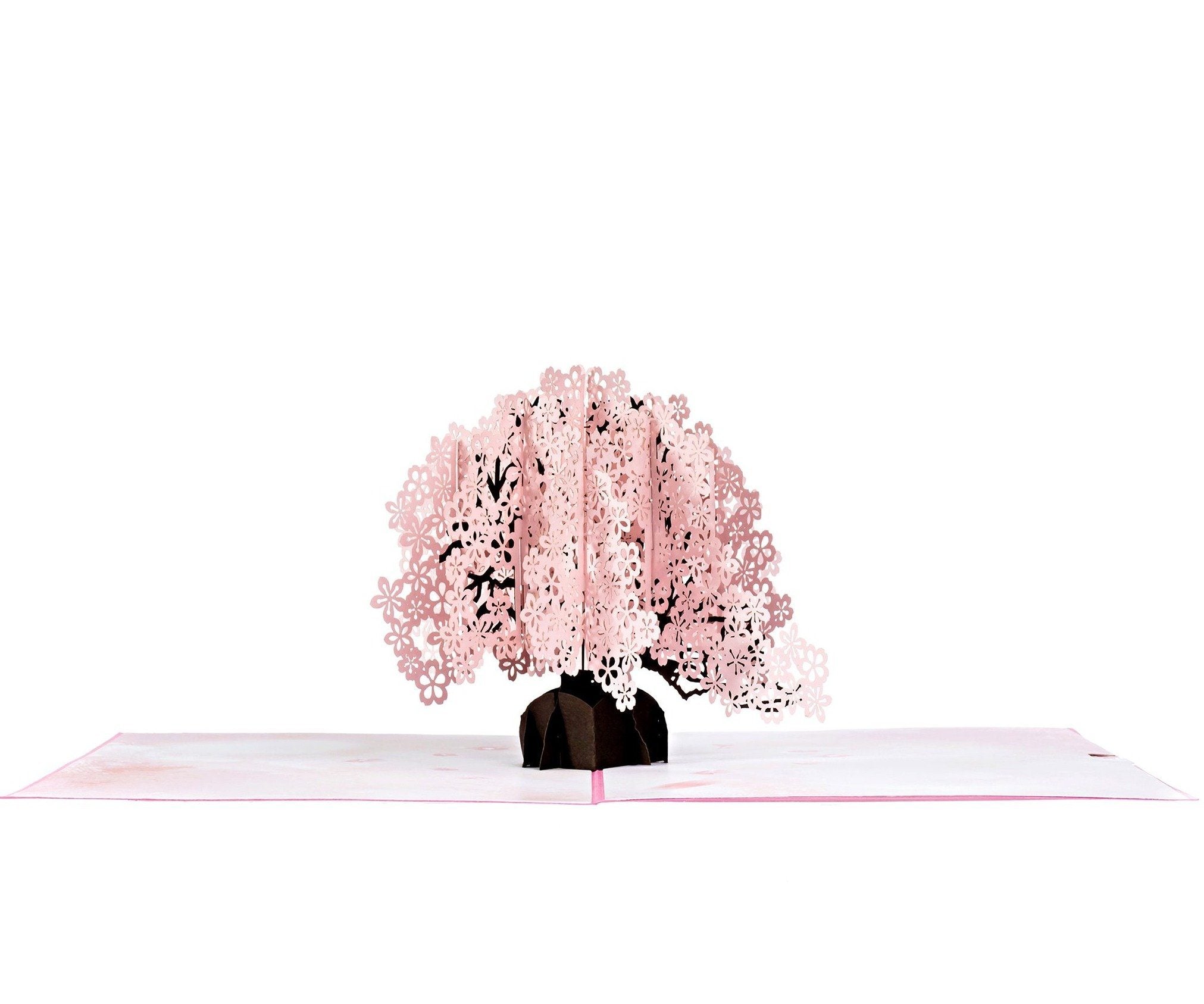 Cherry Blossom Pop Up Card Anthea Cards 
