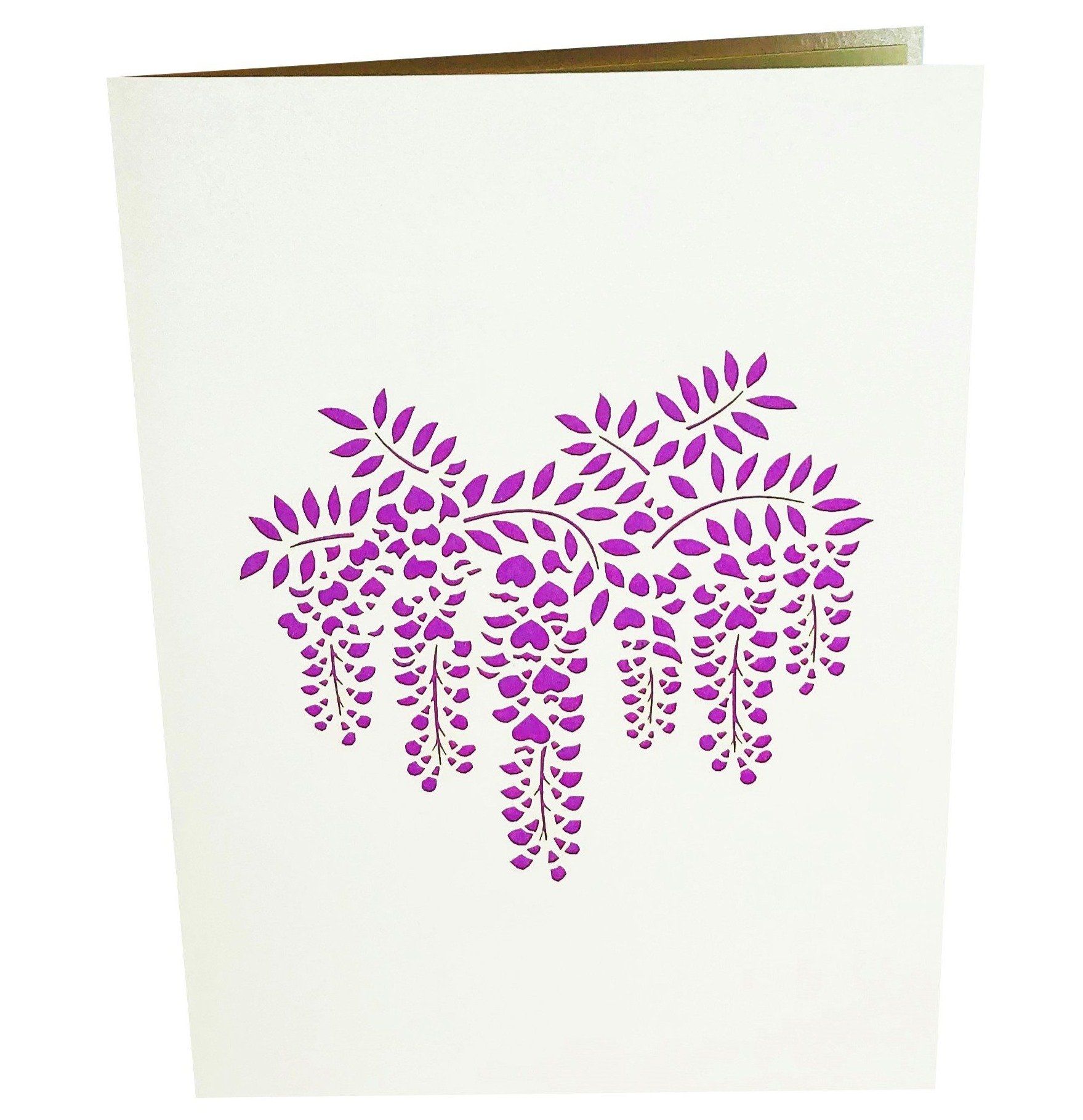 Wisteria Tree Pop Up Card Anthea Cards 